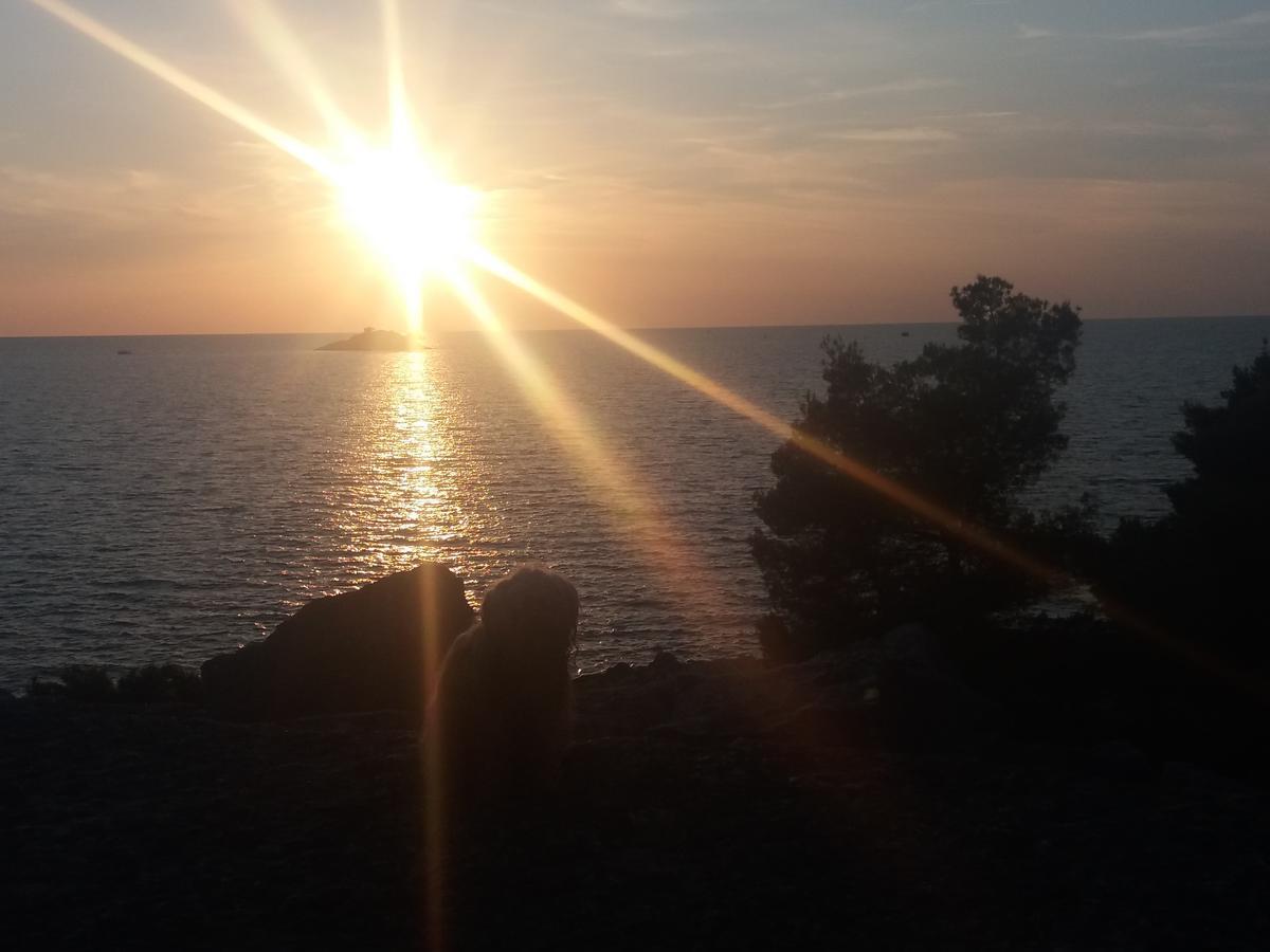 Apartments Ella Rovinj Luaran gambar